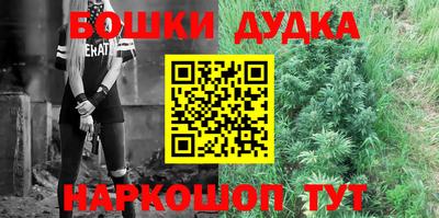 индика Краснознаменск