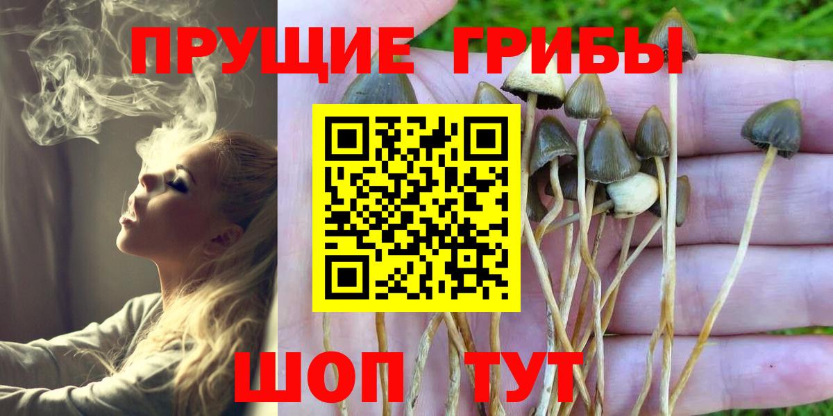 Псилоцибиновые грибы Magic Shrooms  Вход с VPN  Железноводск  закладка  Псилоцибиновые грибы ЛСД 